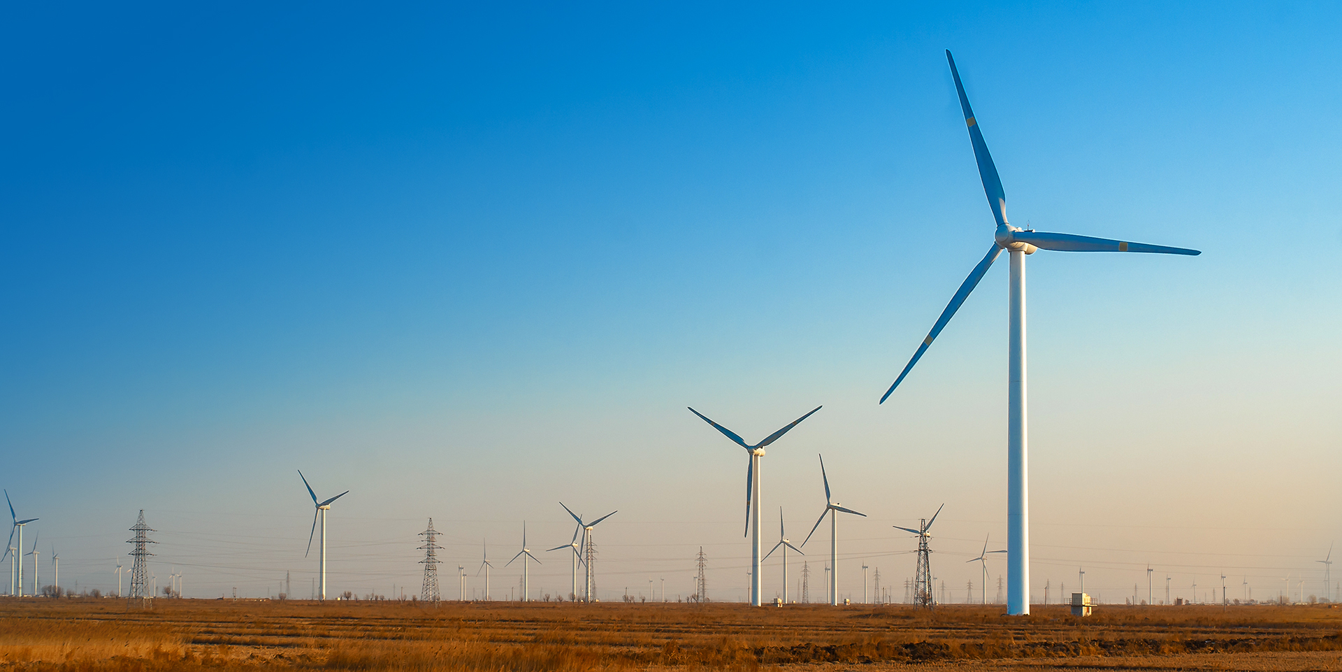 尊龙集团 (中国区)官方网站