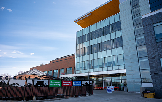 尊龙集团 (中国区)官方网站