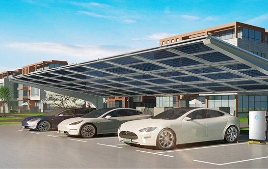 尊龙集团 (中国区)官方网站