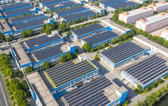 尊龙集团 (中国区)官方网站